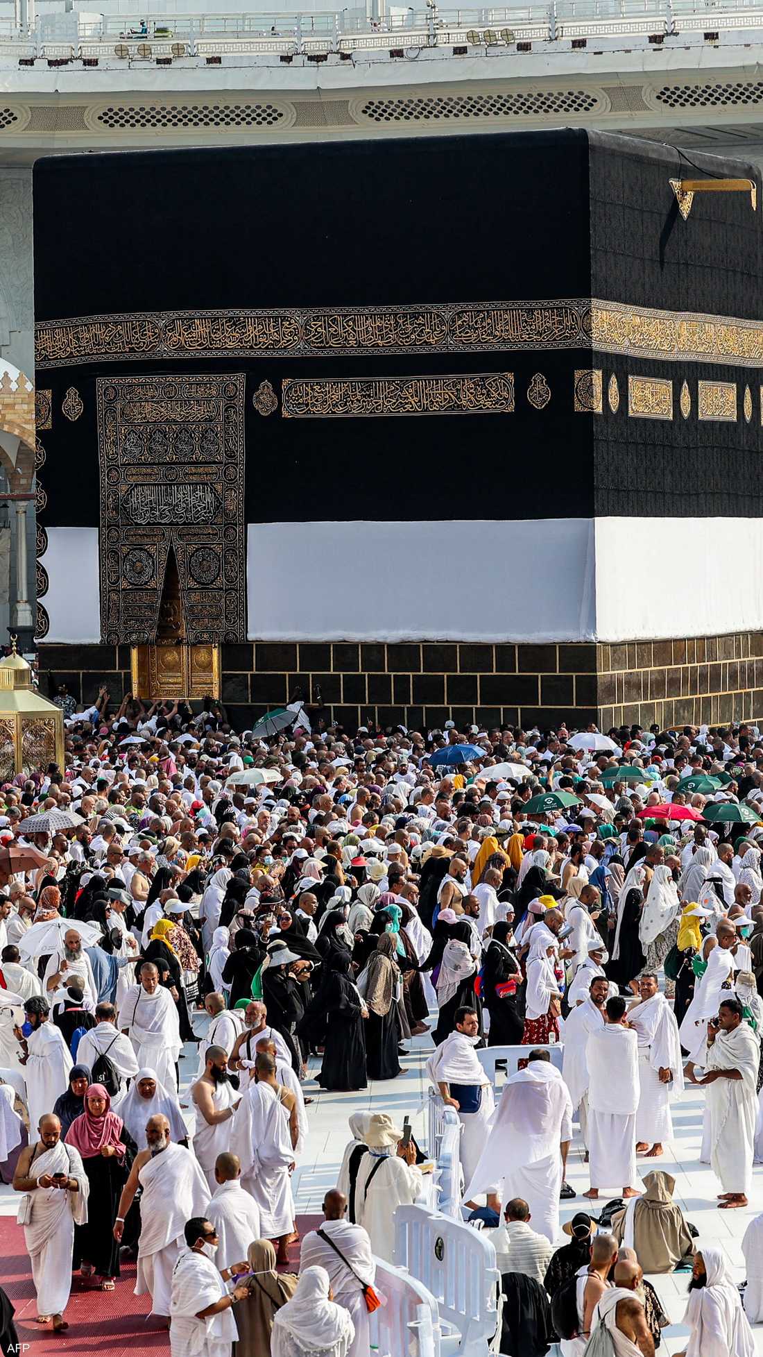 إستعداد القليوبية لموسم الحج