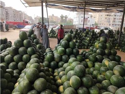 الزراعة