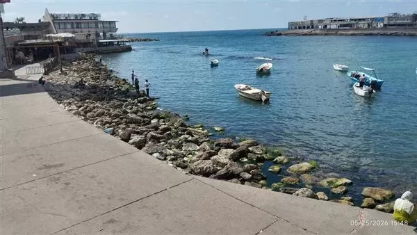 محافظة الإسكندرية