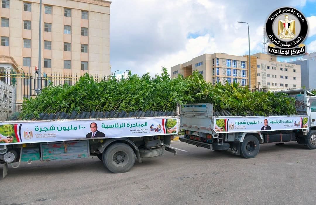 100 مليون شجرة