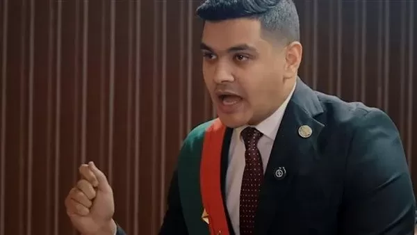 المستشار مصطفى محمود