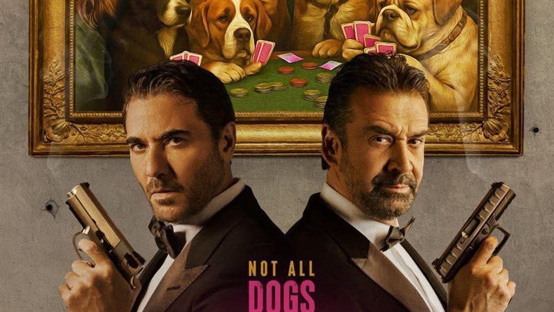 بعد تراجعه للمركز الثاني.. تعرف على إجمالي إيرادات فيلم 7 Dogs