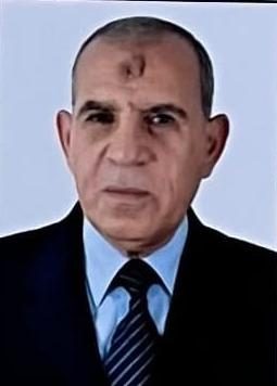 المستشار ربيع لبنة