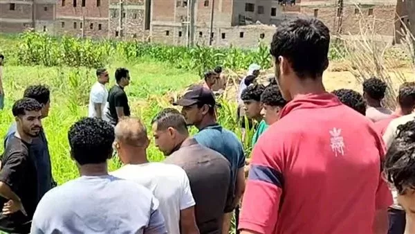 قرية القراقرة التابعة لمركز منيا القمح