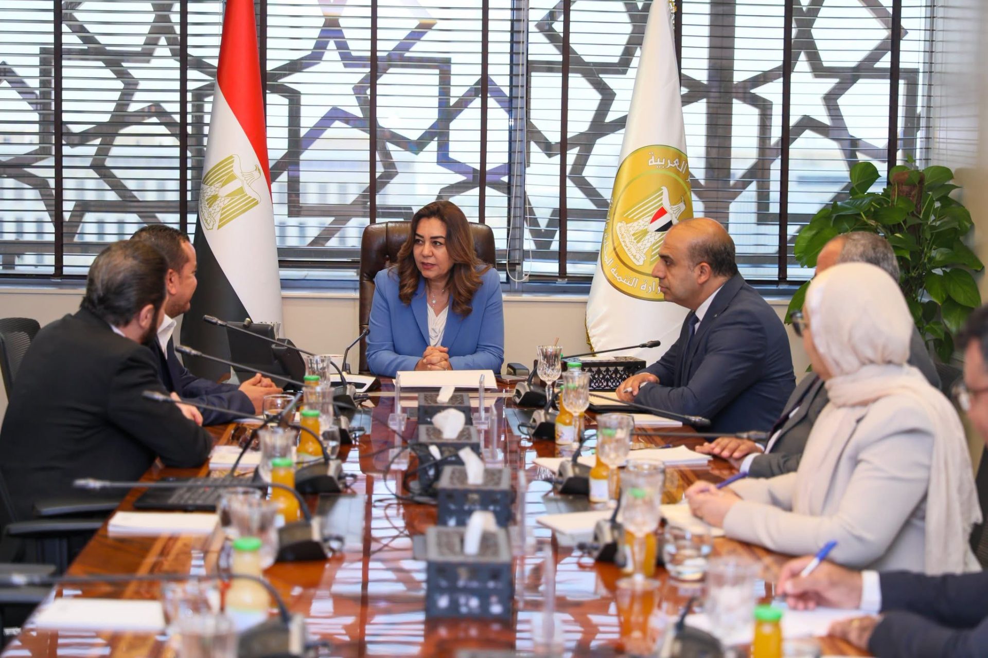 التنمية المحلية