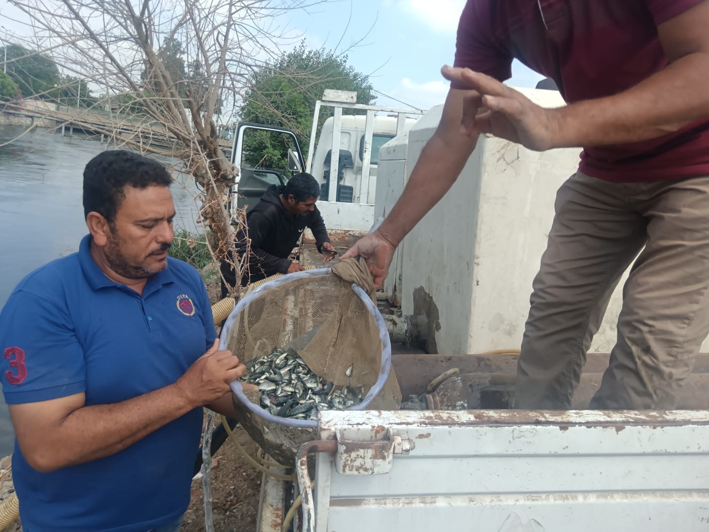 الشرقية تدعم الثروة السمكية بإنزال 550 ألف زريعة جديدة في المسطحات المائية