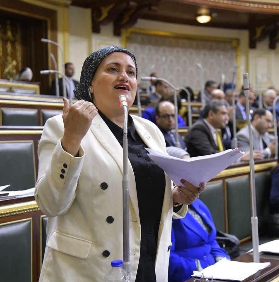 النائبة سناء السعيد، عضو مجلس النواب