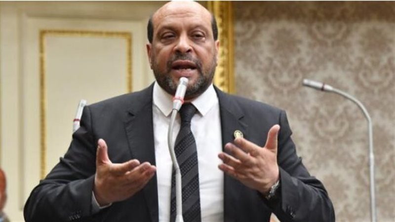 النائب محمود الشامي