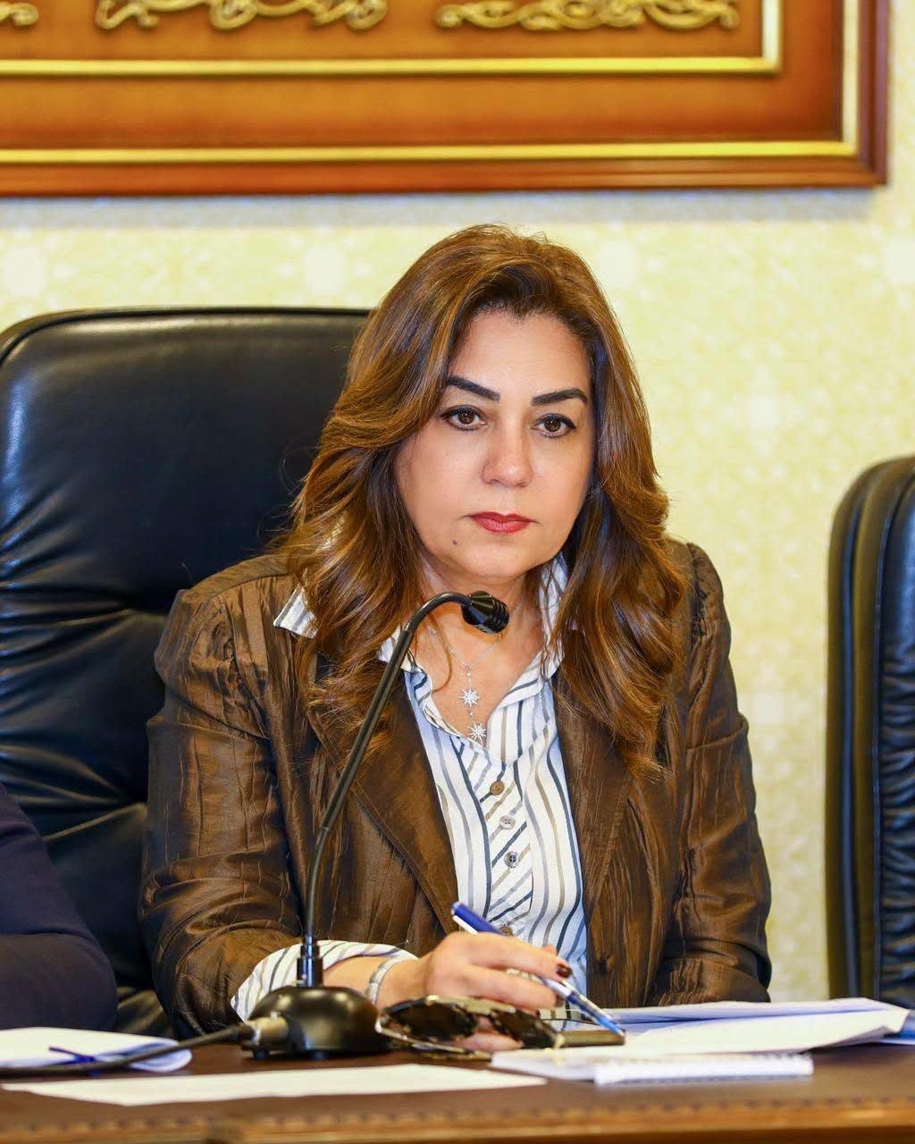 التنمية المحلية