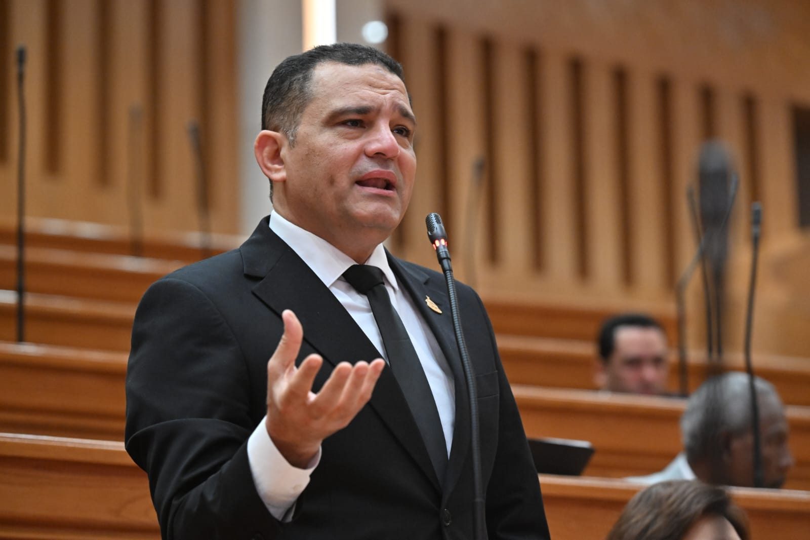 النائب أمير الجزار
