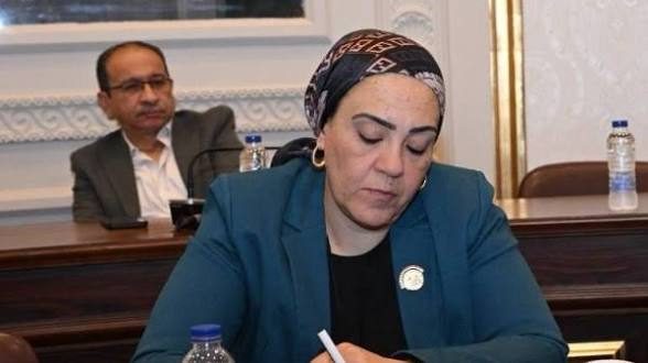 النائبة داليا الاتربي