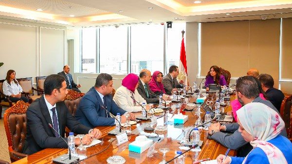 المهندسة راندة المنشاوي