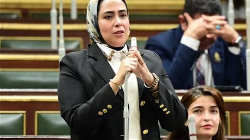 النائبة سارة النحاس