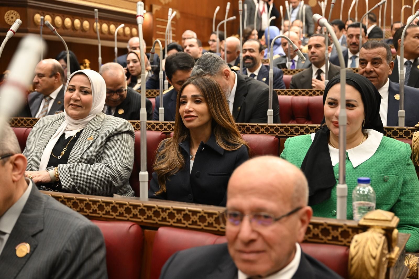 النائبة انجي نصيف