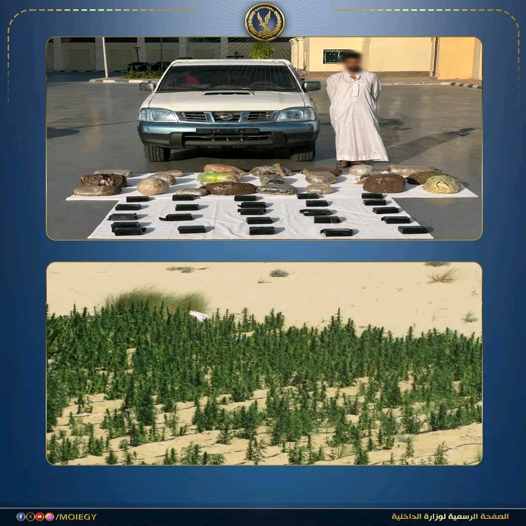 المتهم والمضبوطات