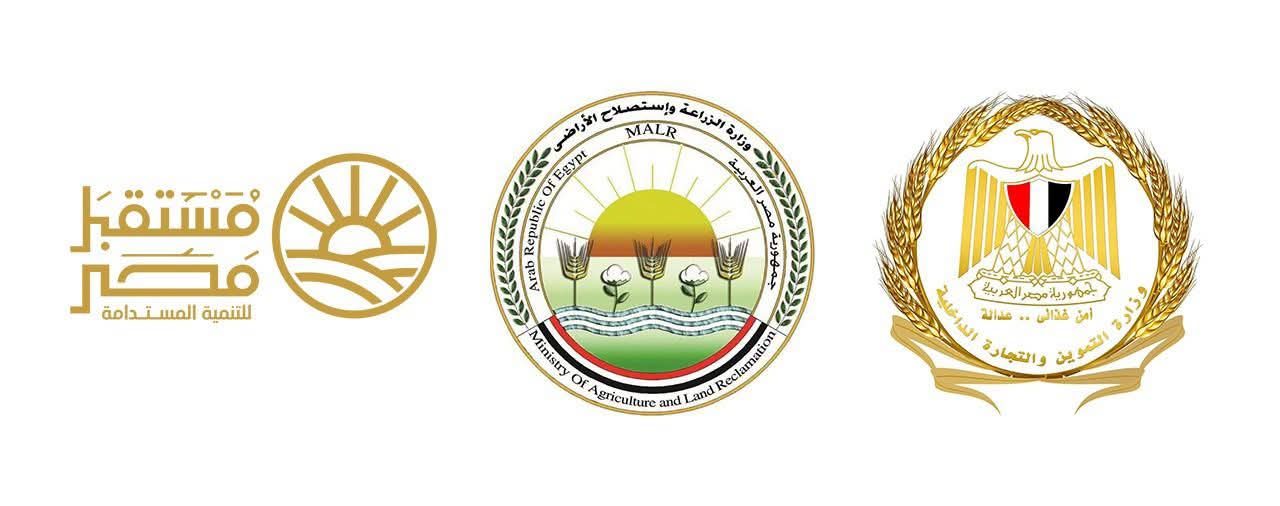 المجمعات الاستهلاكية