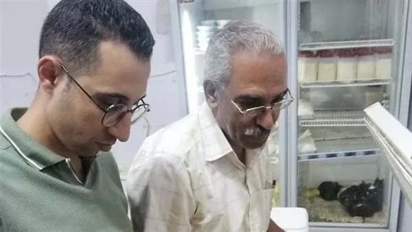 أثناء الحملة