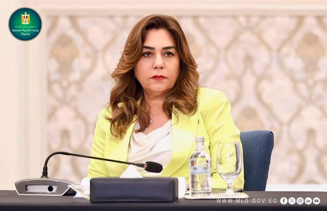 التنمية المحلية