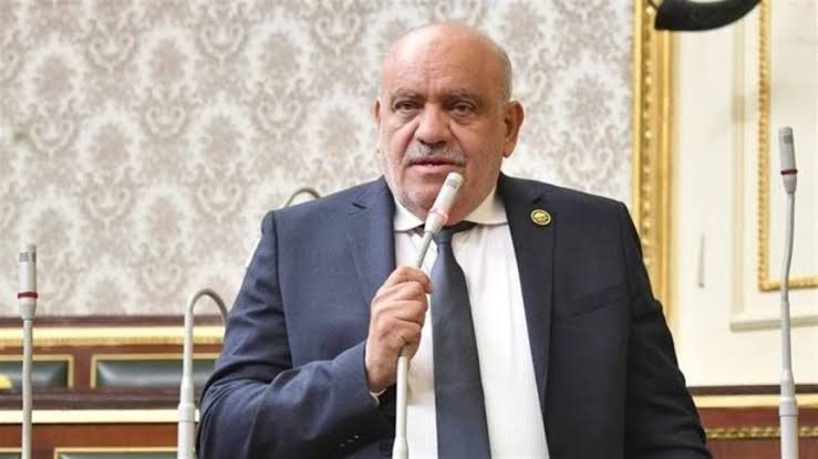 النائب سيد حنفي