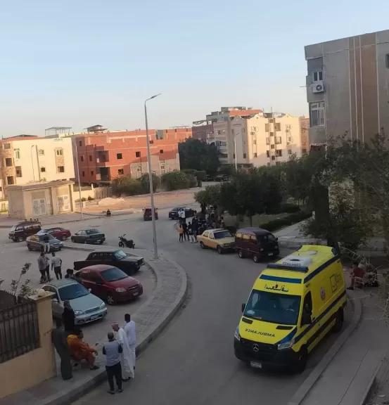 ارشيفية