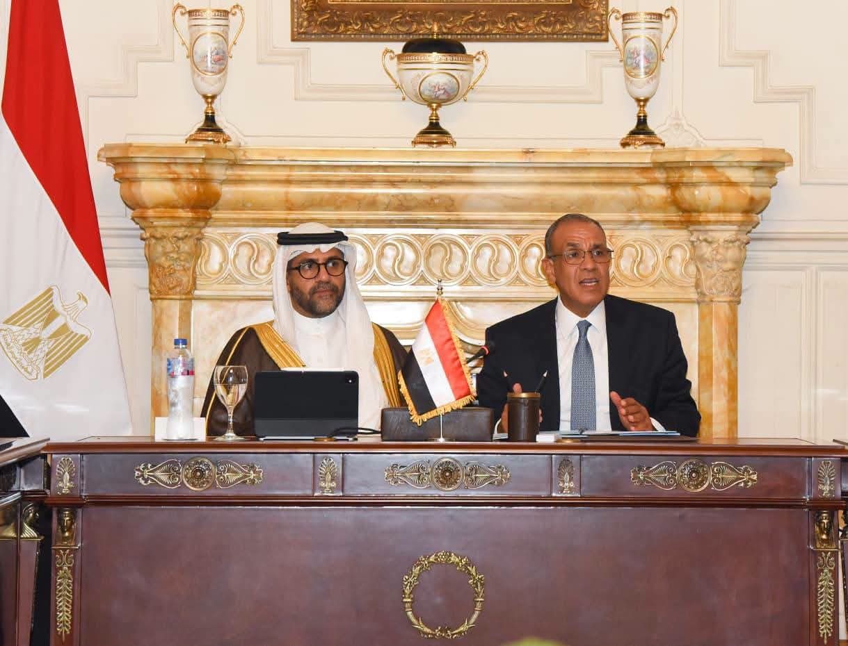 وزير الخارجية: دعم الشركات المصرية للتوسع في الأسواق الأفريقية وتذليل العقبات أمامها