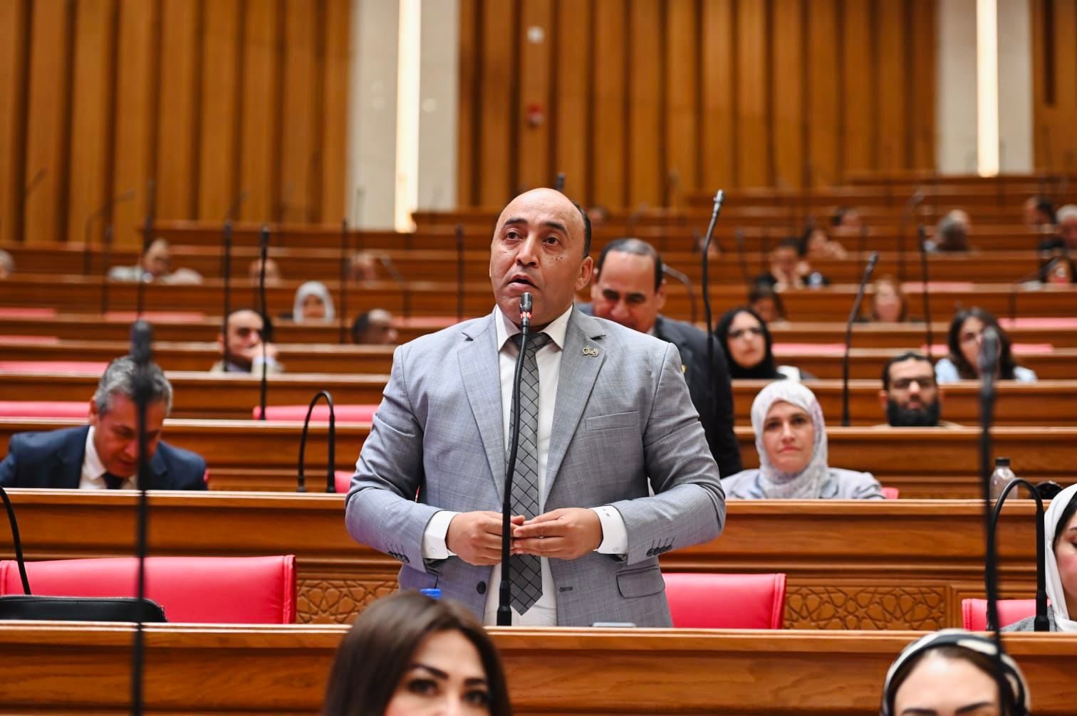 النائب حسام حسن