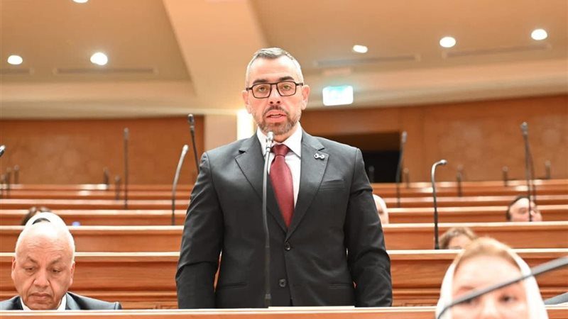 النائب محمد فؤاد