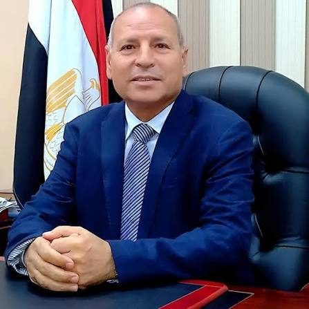 محافظ القاهرة