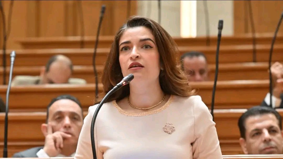 النائبة ايرين سعيد