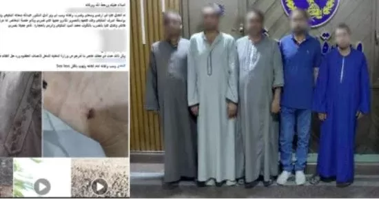 الداخلية تكشف ملابسات فيديو مشاجرة الأرض الزراعية بطنطا وتضبط المتهمين