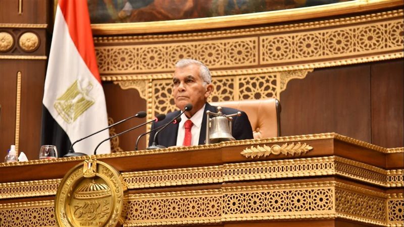 المستشار عصام الدين فريد