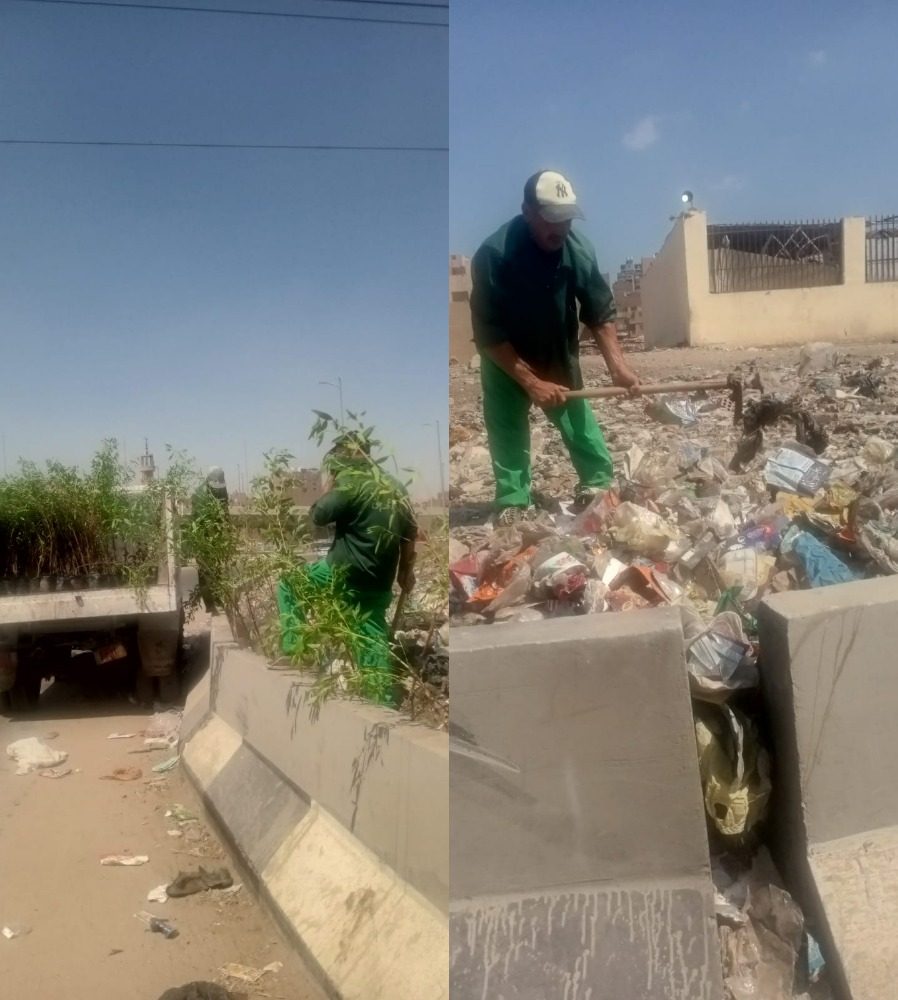 هيئة النظافة: تطهير أحياء الجيزة من تجمعات القمامة وإلغاء تكوينها لتحسين المظهر الحضاري " صور"