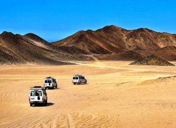 رئيس "سفاري البحر الأحمر": الجبال والبحر منحا مصر مقومات قوية في سياحة السفاري