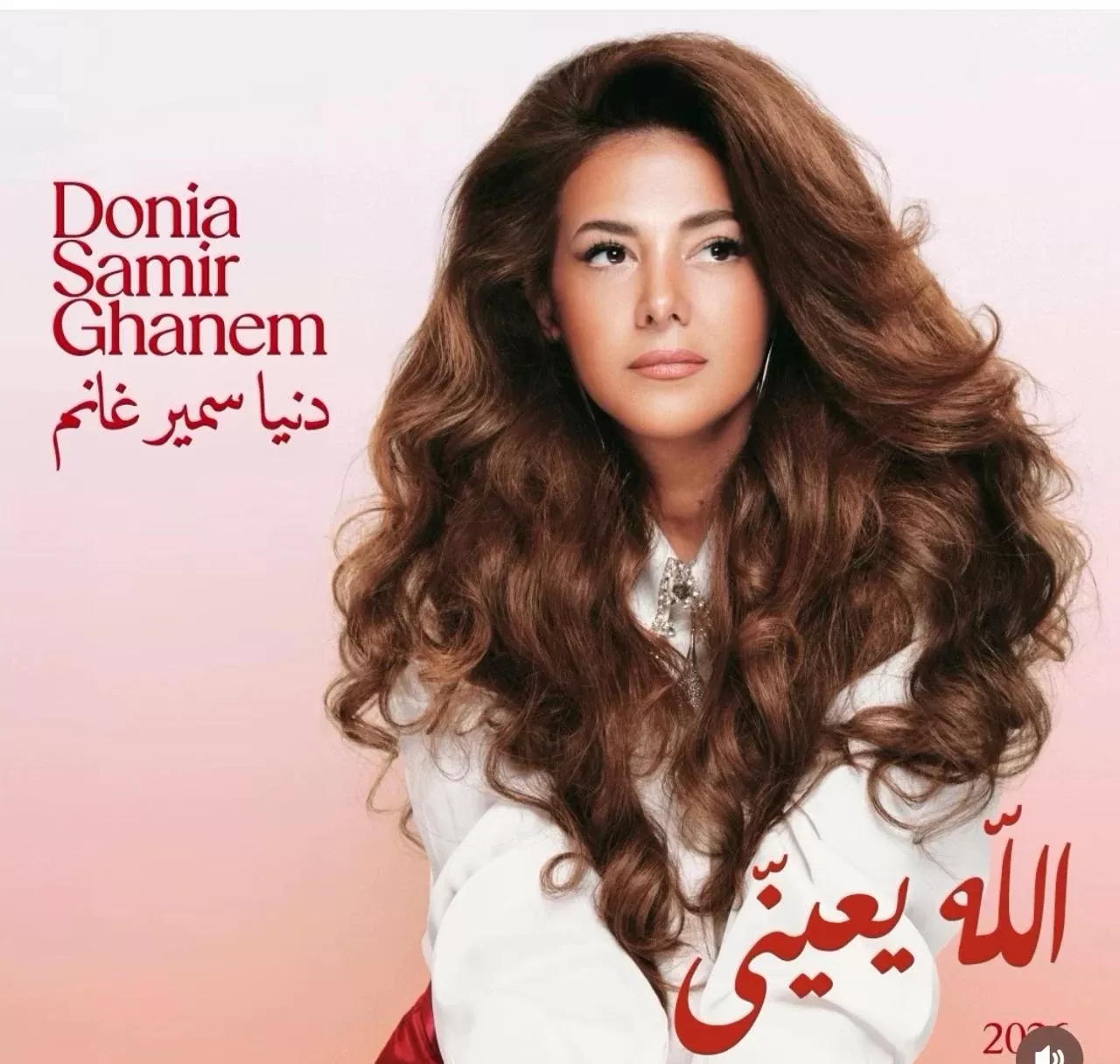 "الله يعيني".. أغنية جديدة للفنانة دنيا سمير غانم
