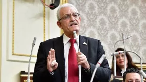 النائب عاطف المغاوري