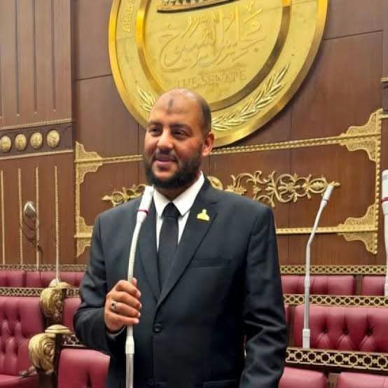 النائب زين العابدين