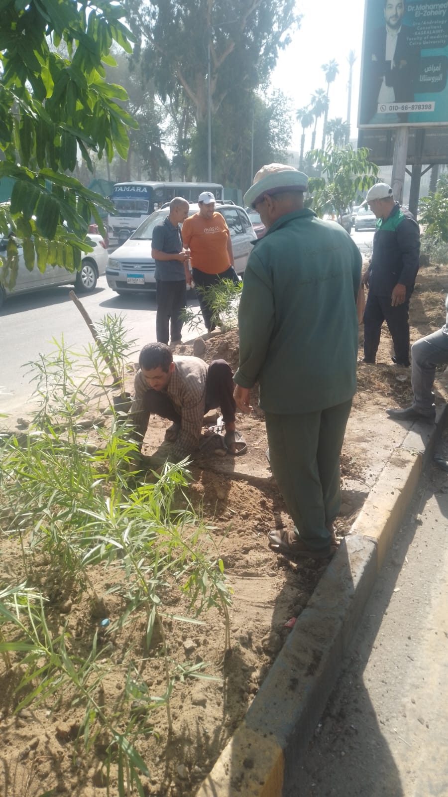 ضمن مبادرة اتحضر للأخضر وتحسين الرؤية البصرية.. زراعة النباتات والأشجار بشارع الجامعة
