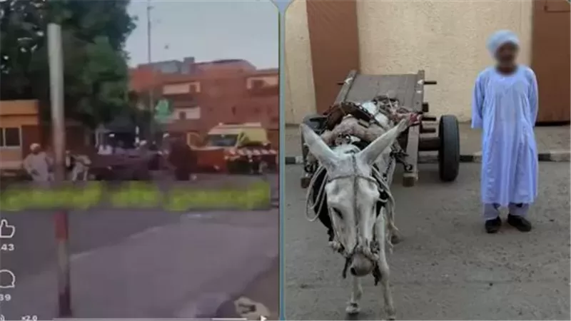 القبض على سائق عربة كارو تسبب في توقف قطار بأسوان